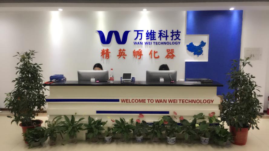 数智领航，赋能未来——武汉万维速科 专业信息技术咨询服务的时代之选